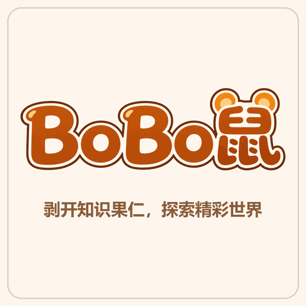 BoBo鼠